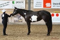 22-APHA HOTC_079